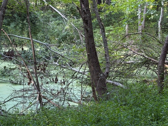 921 Eli Rd
