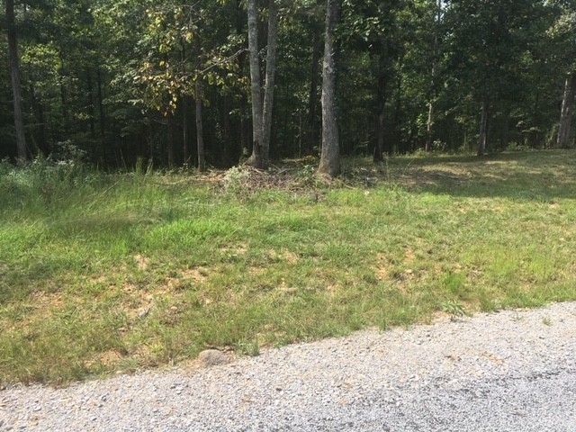 81 The Woodlands of Nashville