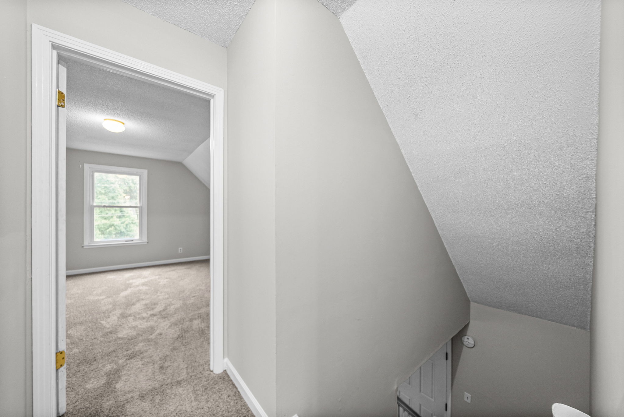 1901 Roan Dr