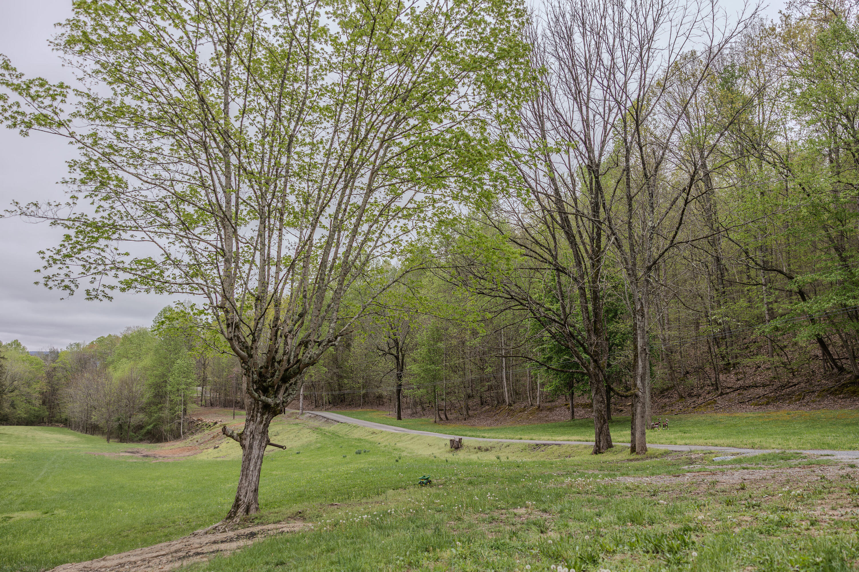 846 Bailey Road