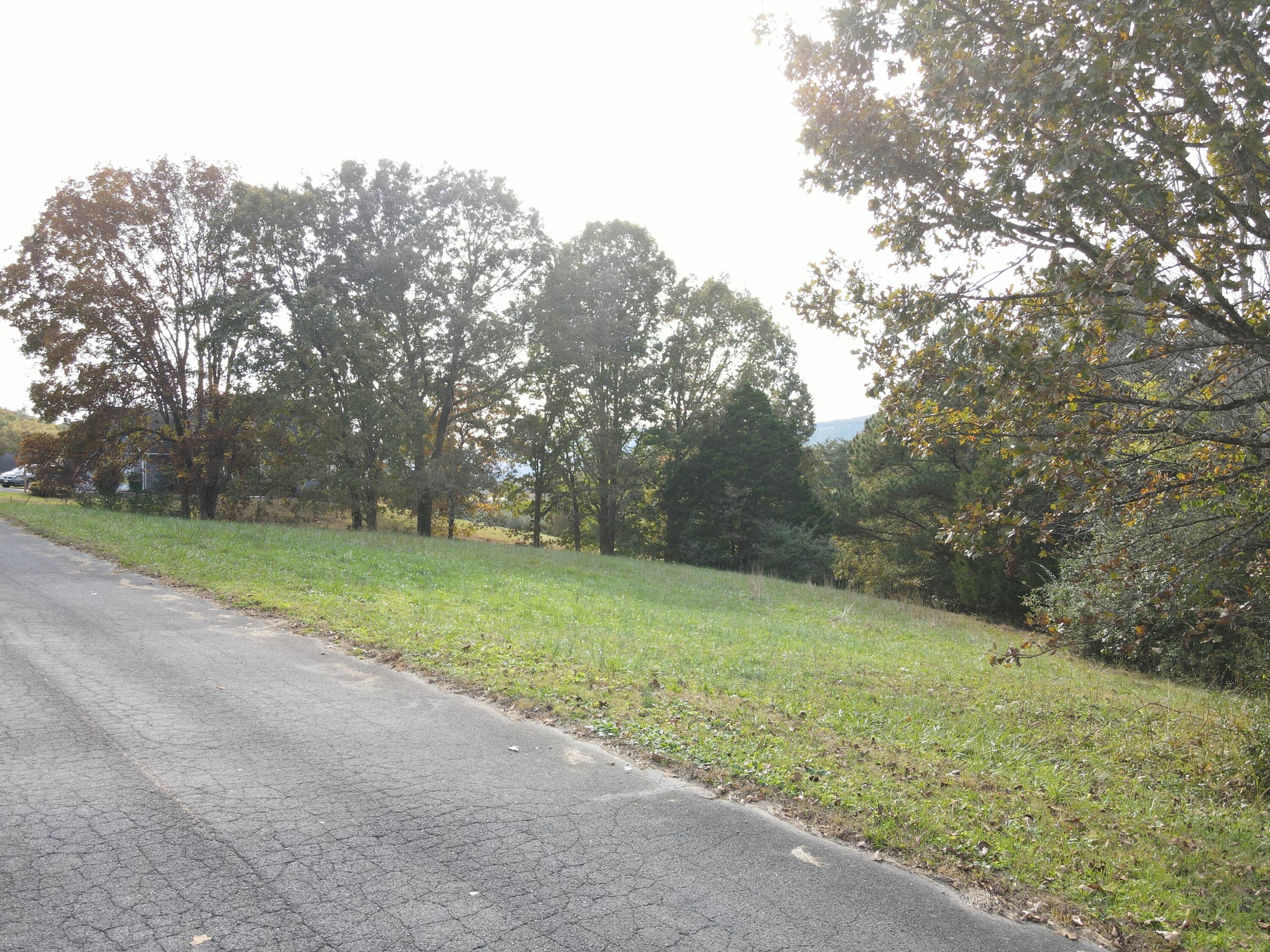 0 Grandview Drive, Dunlap