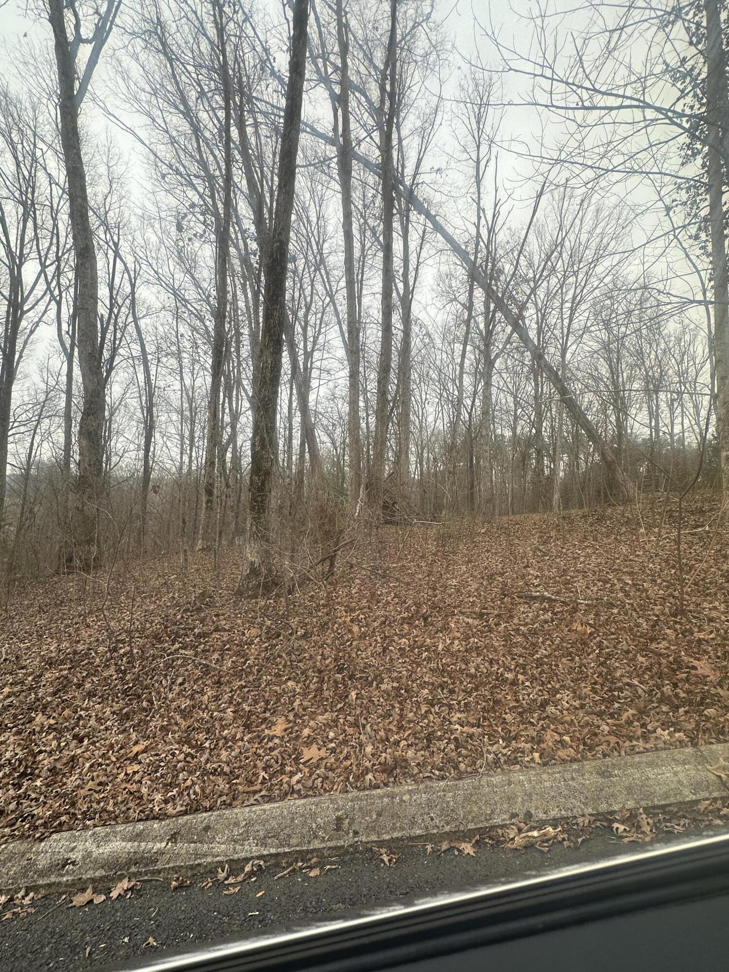 0 Shady Oaks Cv Cove, 12