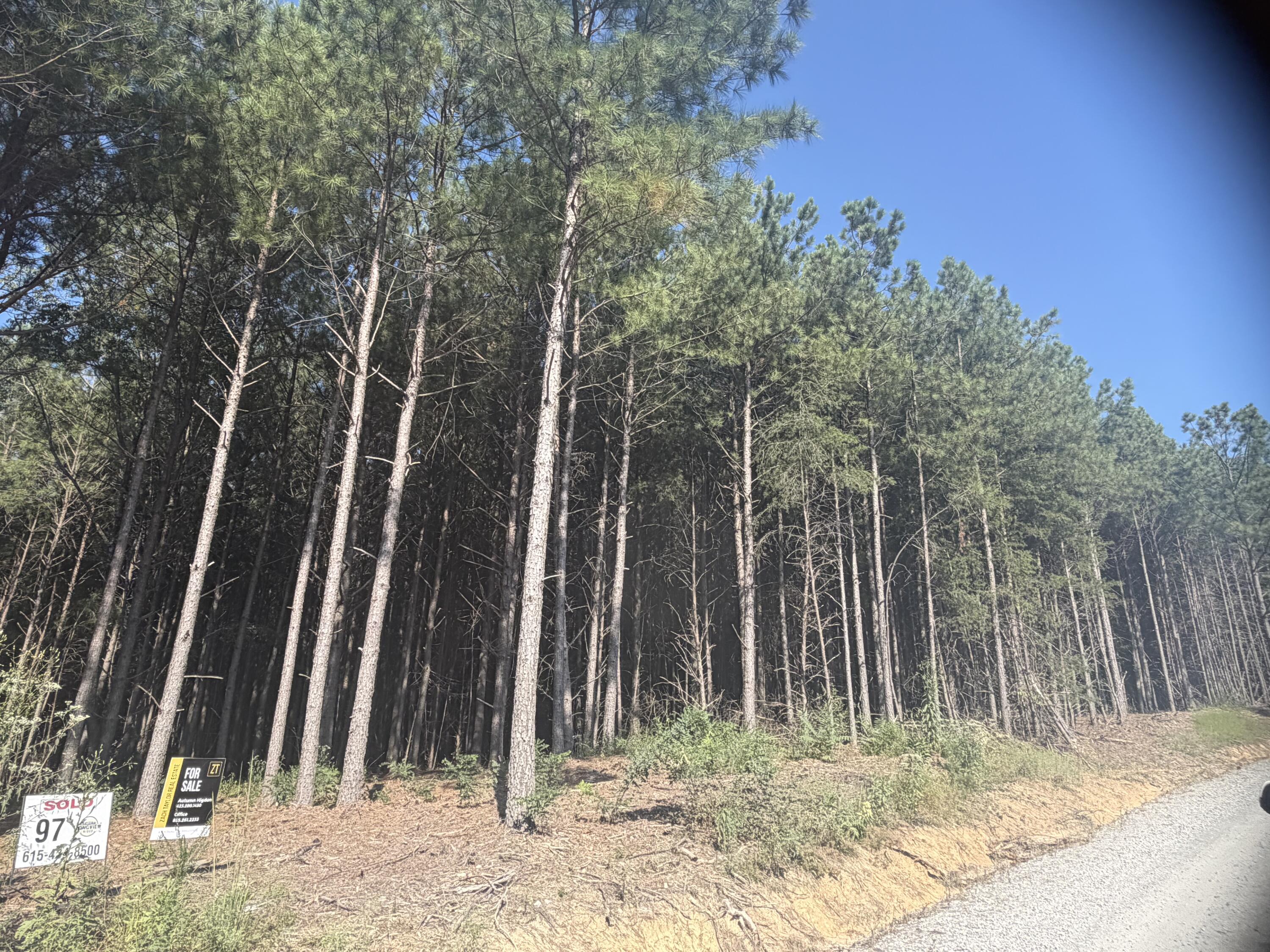 0 Longview Ridge, Lot 97