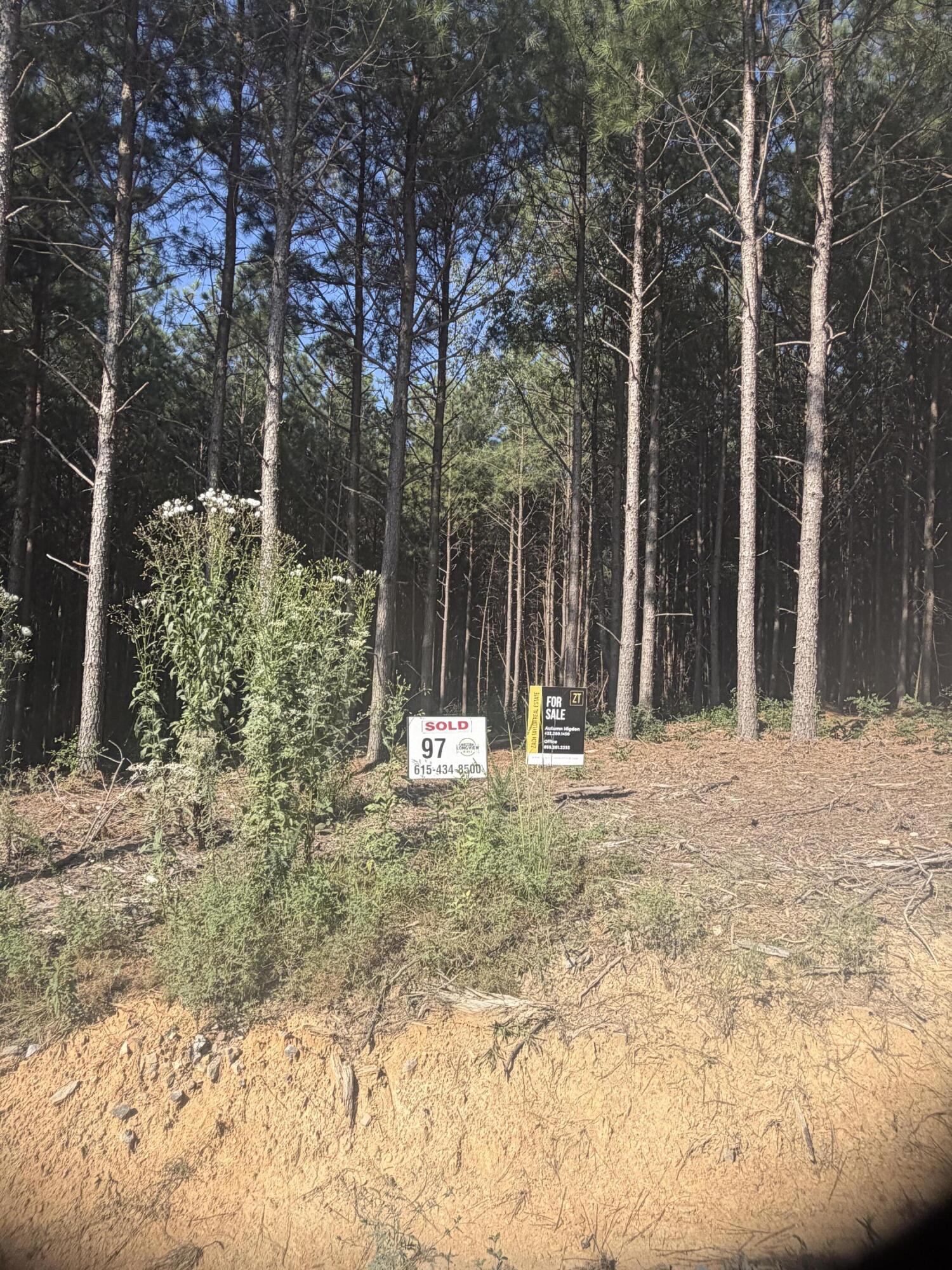 0 Topside Road, 98