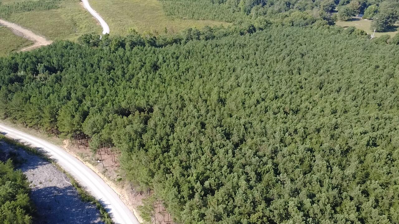 0 Topside Road, 98