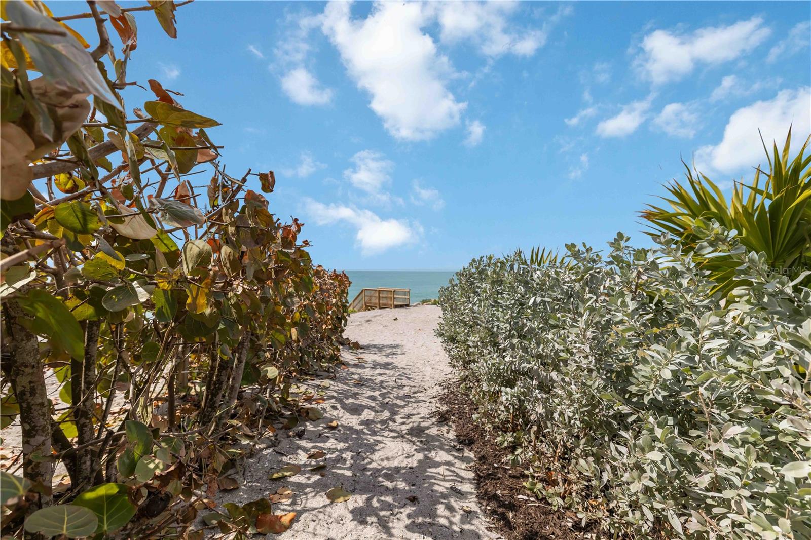 7795 MANASOTA KEY RD