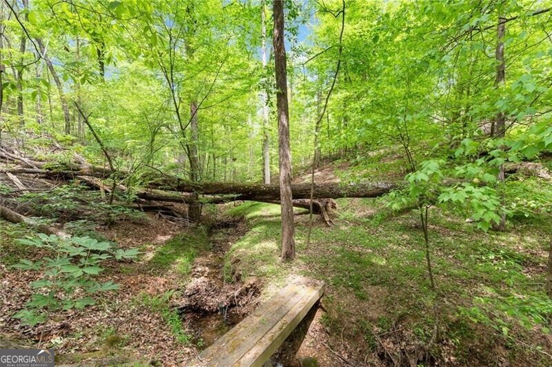 4425 Woodside Court
