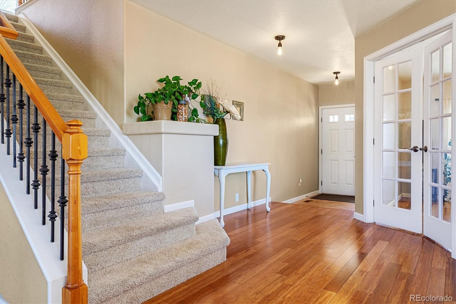3565 Lemon Court
