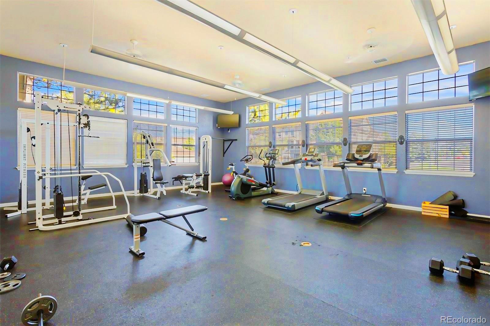 431 Black Feather Loop Unit: 817