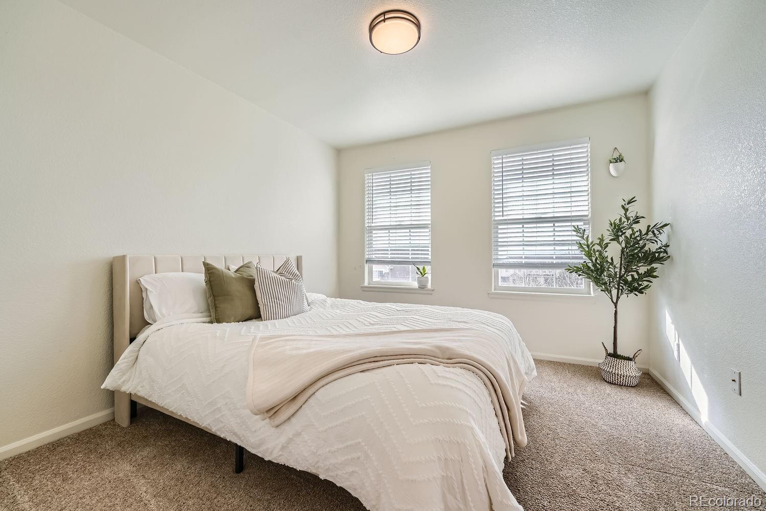 431 Black Feather Loop Unit: 817