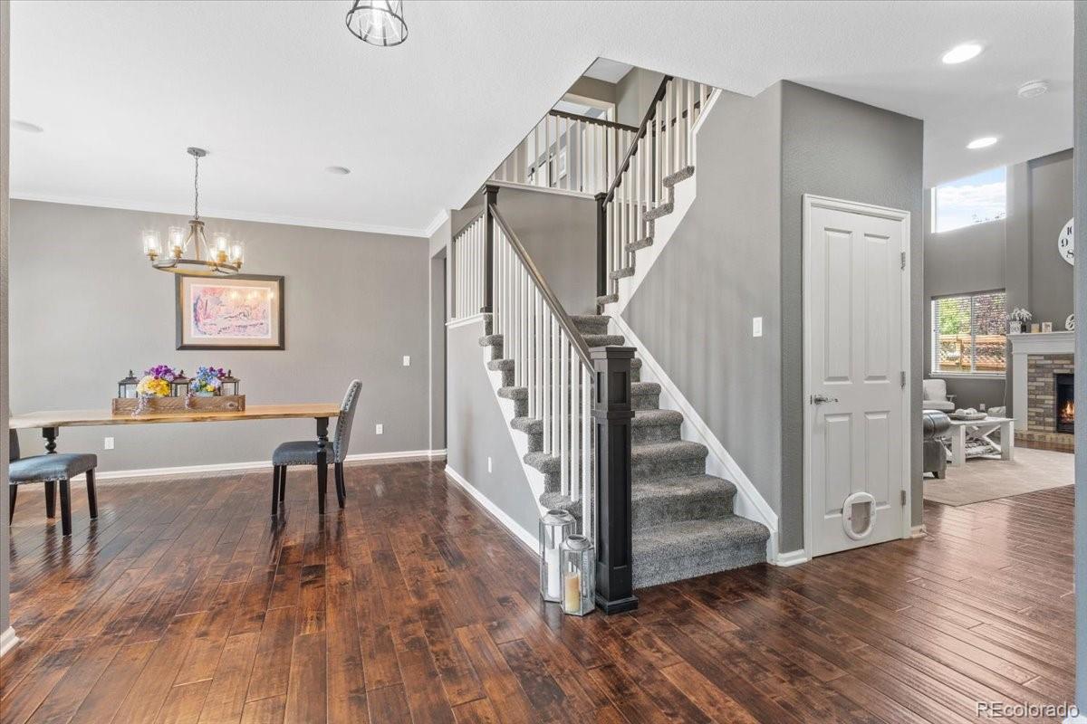 11921 S Black Horn Circle