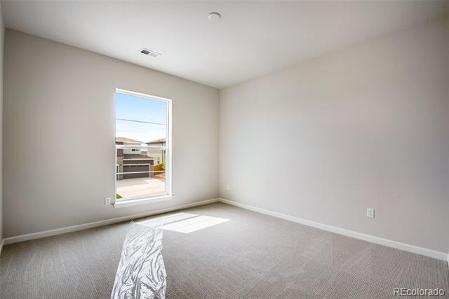 14404 Shasta Daisy Point