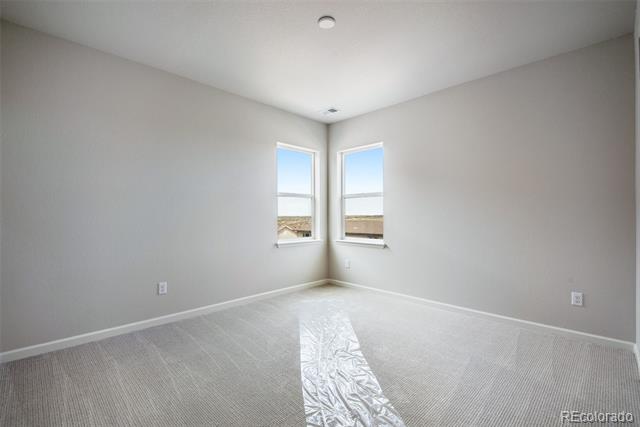 14404 Shasta Daisy Point