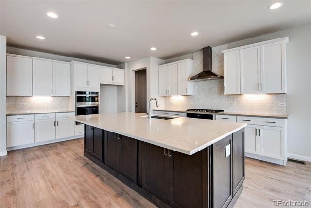 14404 Shasta Daisy Point