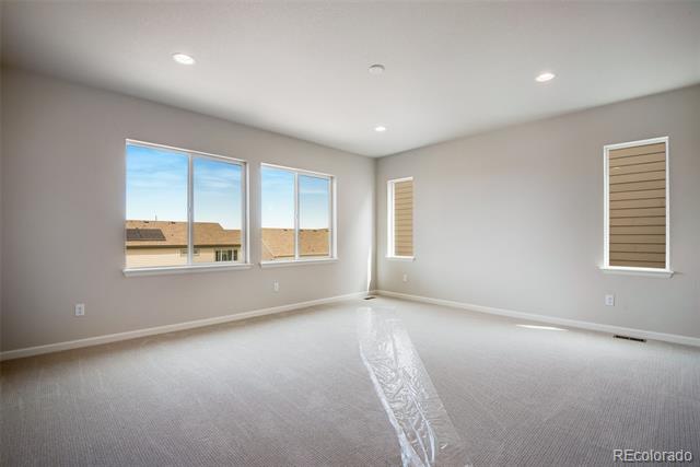 14404 Shasta Daisy Point