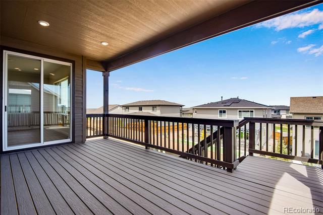 14404 Shasta Daisy Point