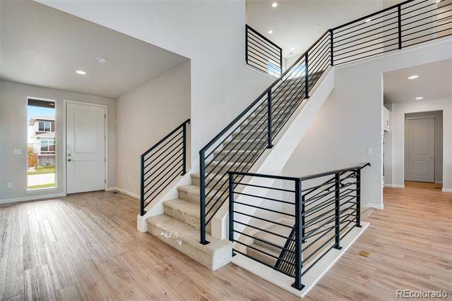 14404 Shasta Daisy Point
