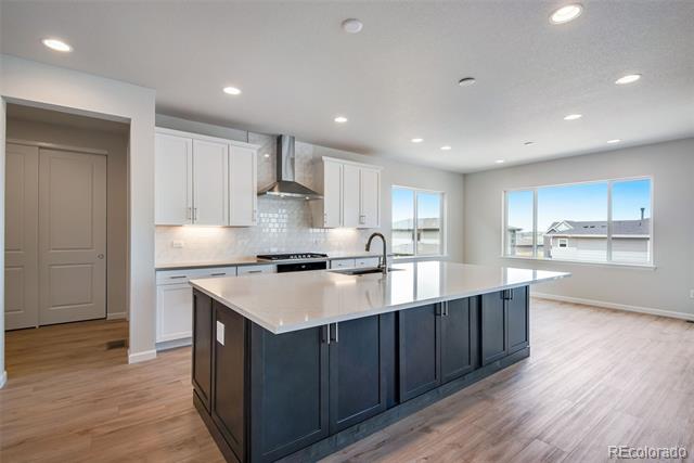 14404 Shasta Daisy Point