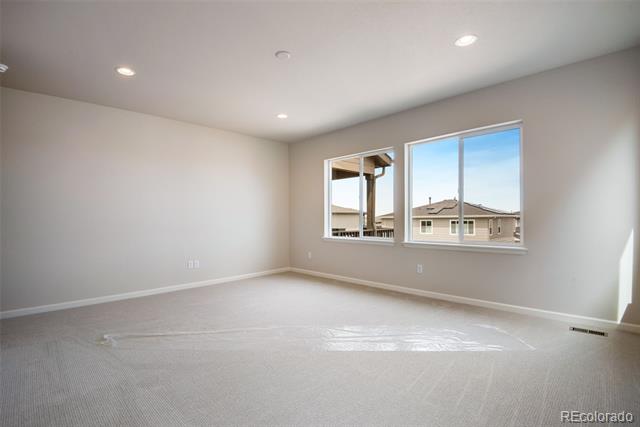 14404 Shasta Daisy Point