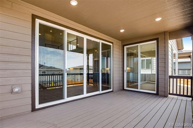 14404 Shasta Daisy Point