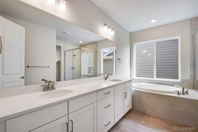 14404 Shasta Daisy Point