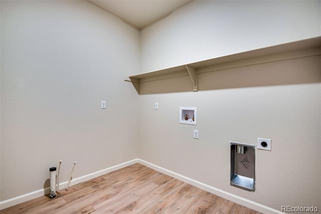 14404 Shasta Daisy Point