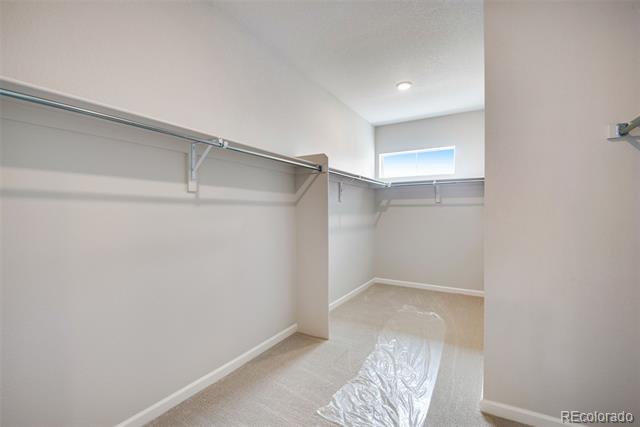 14404 Shasta Daisy Point