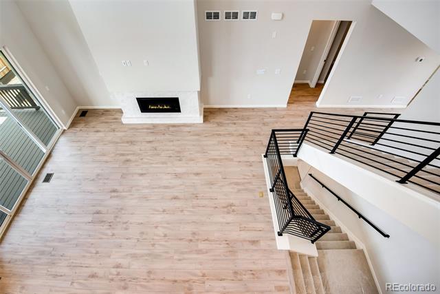14404 Shasta Daisy Point