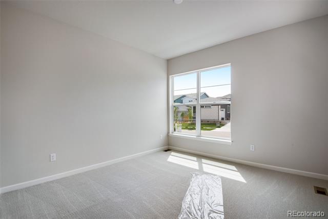 14404 Shasta Daisy Point