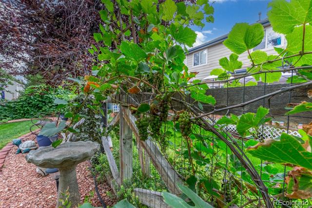 15133 E 116th Place