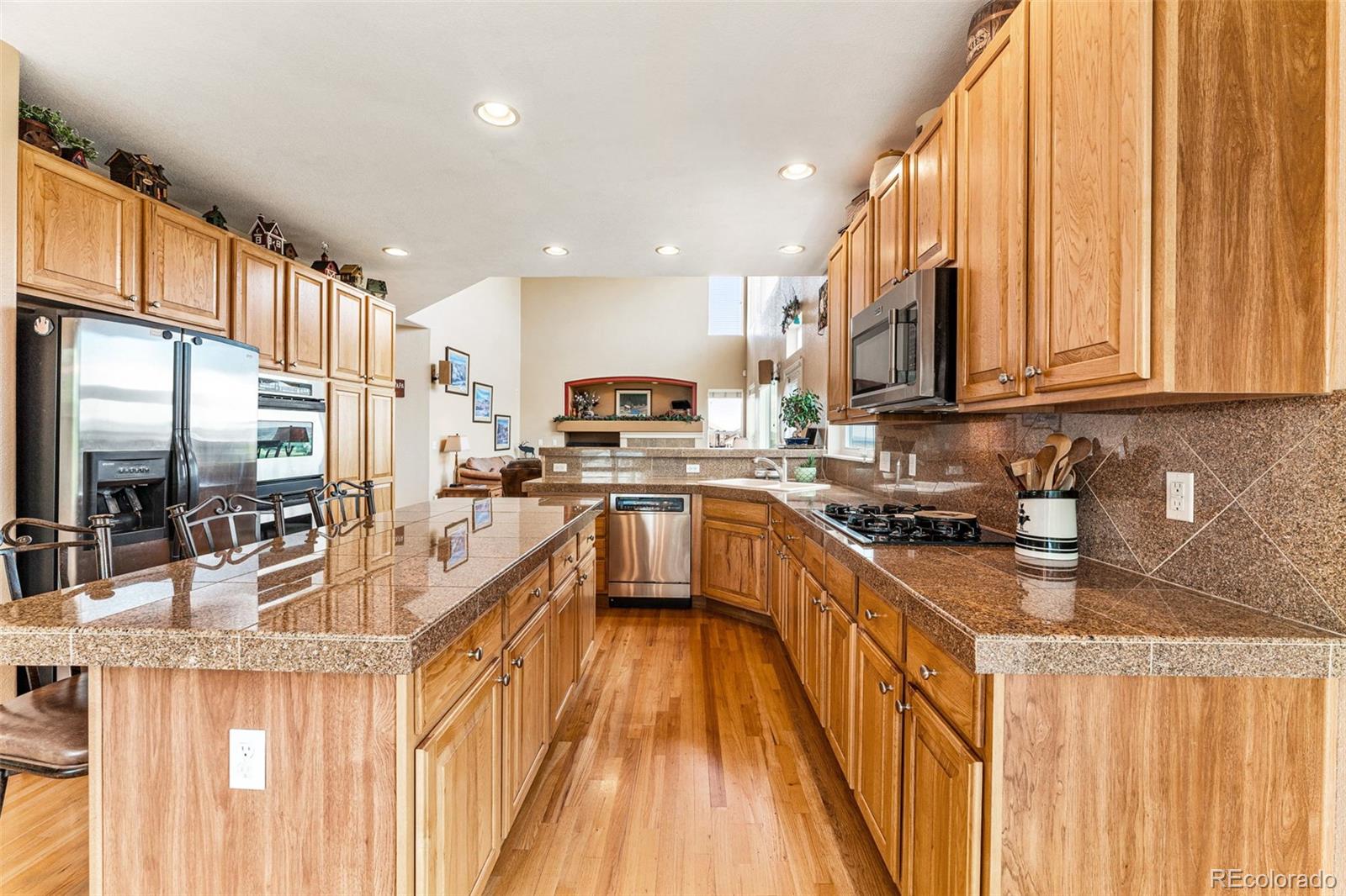 10079 Blue Mesa Drive