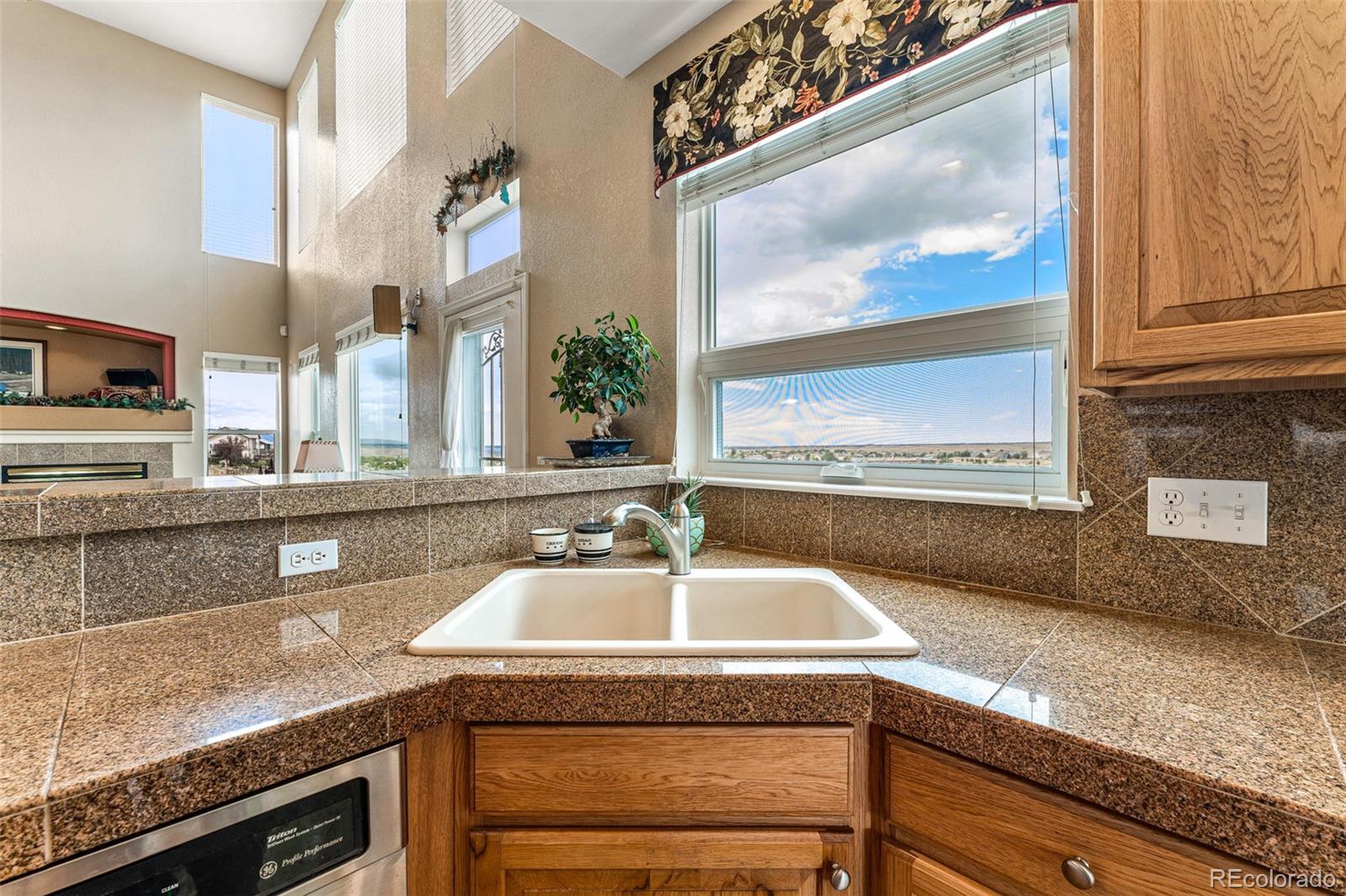 10079 Blue Mesa Drive