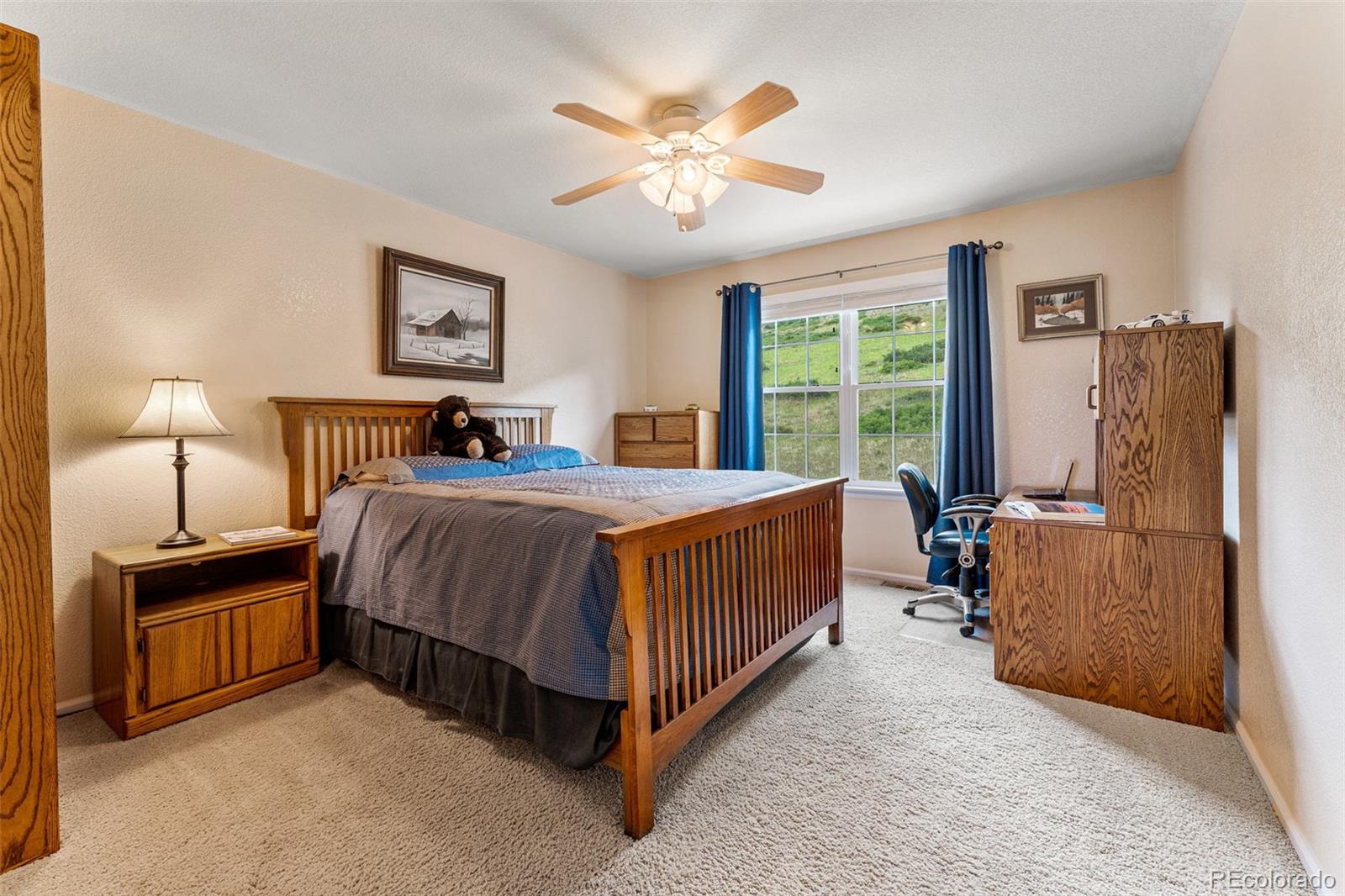 10079 Blue Mesa Drive