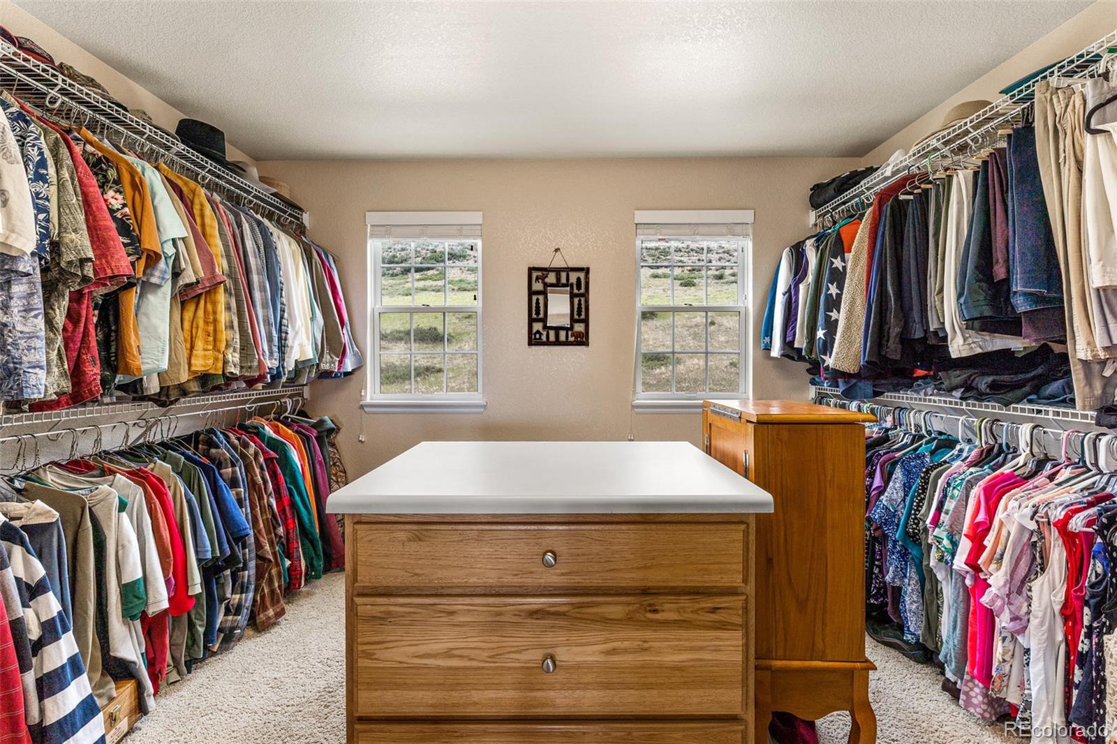 10079 Blue Mesa Drive