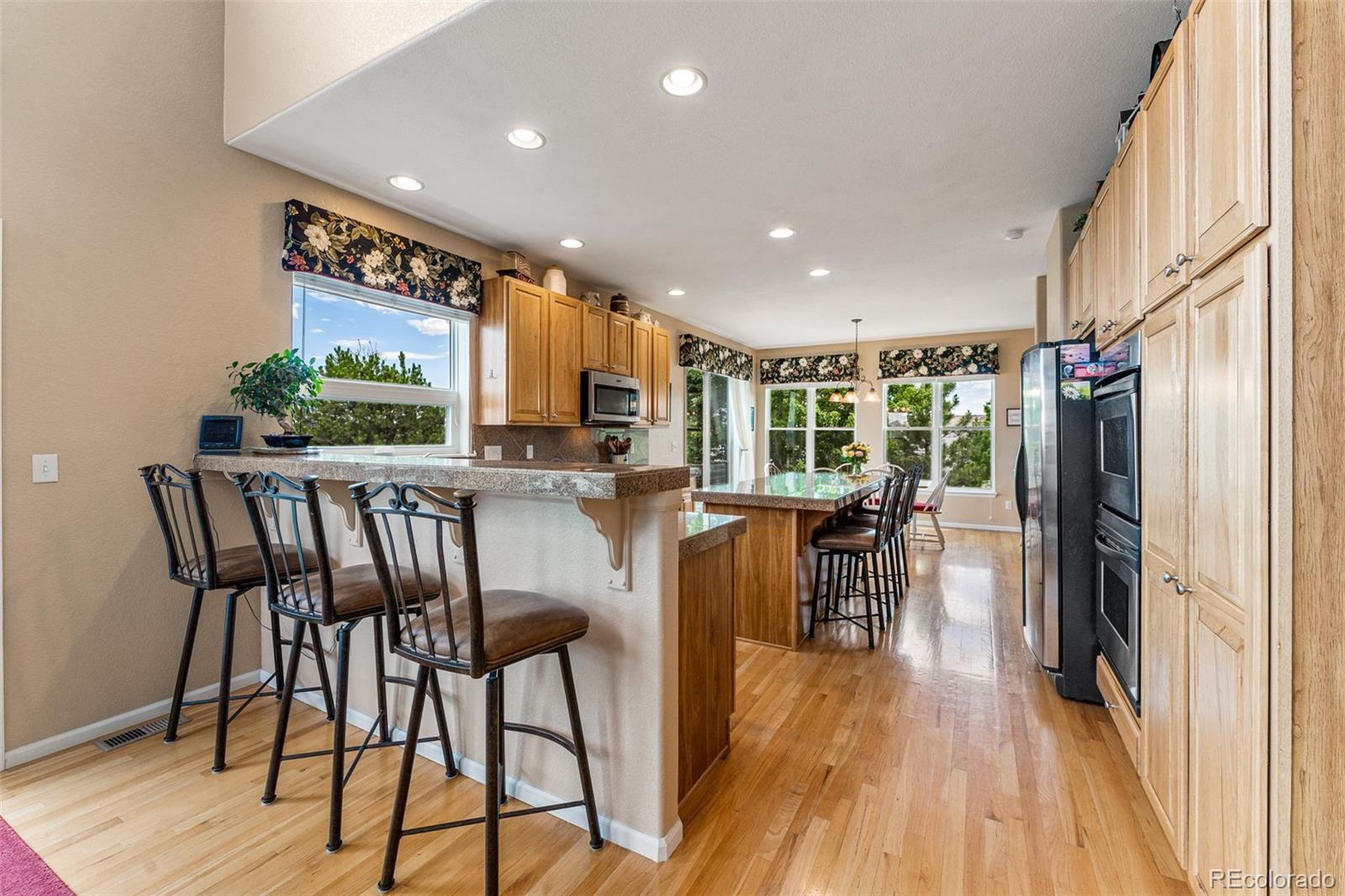 10079 Blue Mesa Drive