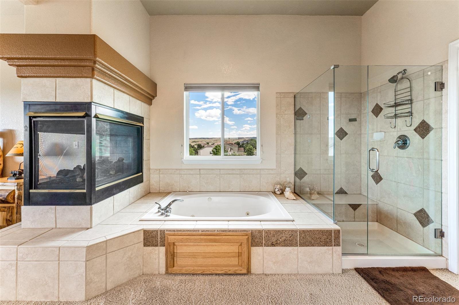 10079 Blue Mesa Drive
