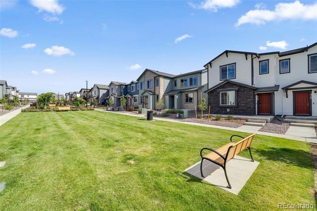 310 Shoveler Way