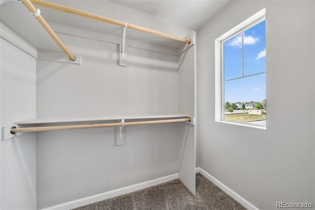 310 Shoveler Way