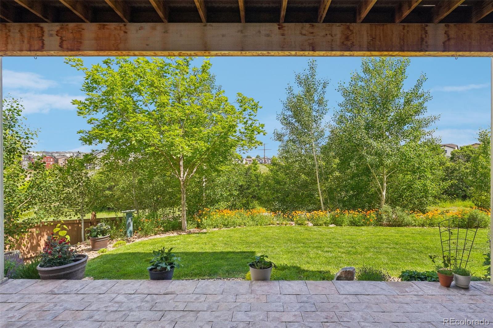 4438 Sidewinder Loop