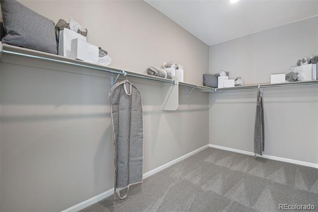14393 Hop Clover Trail