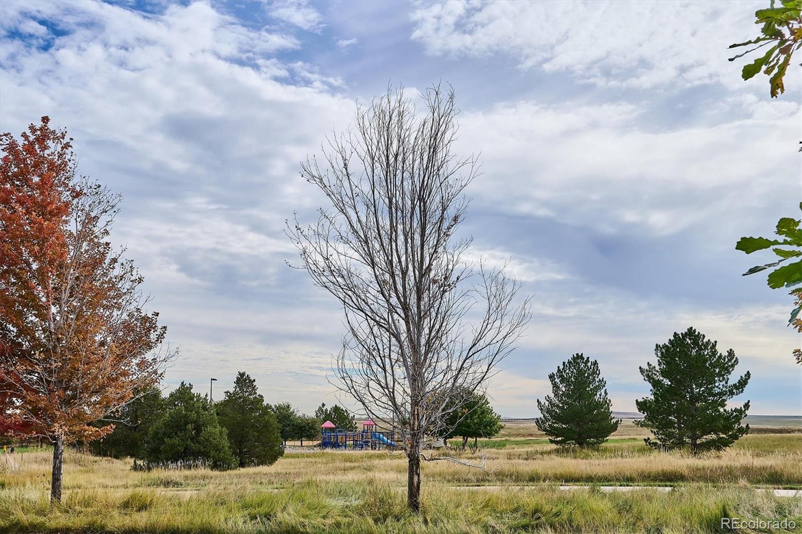 2029 S Flanders Way Unit: C