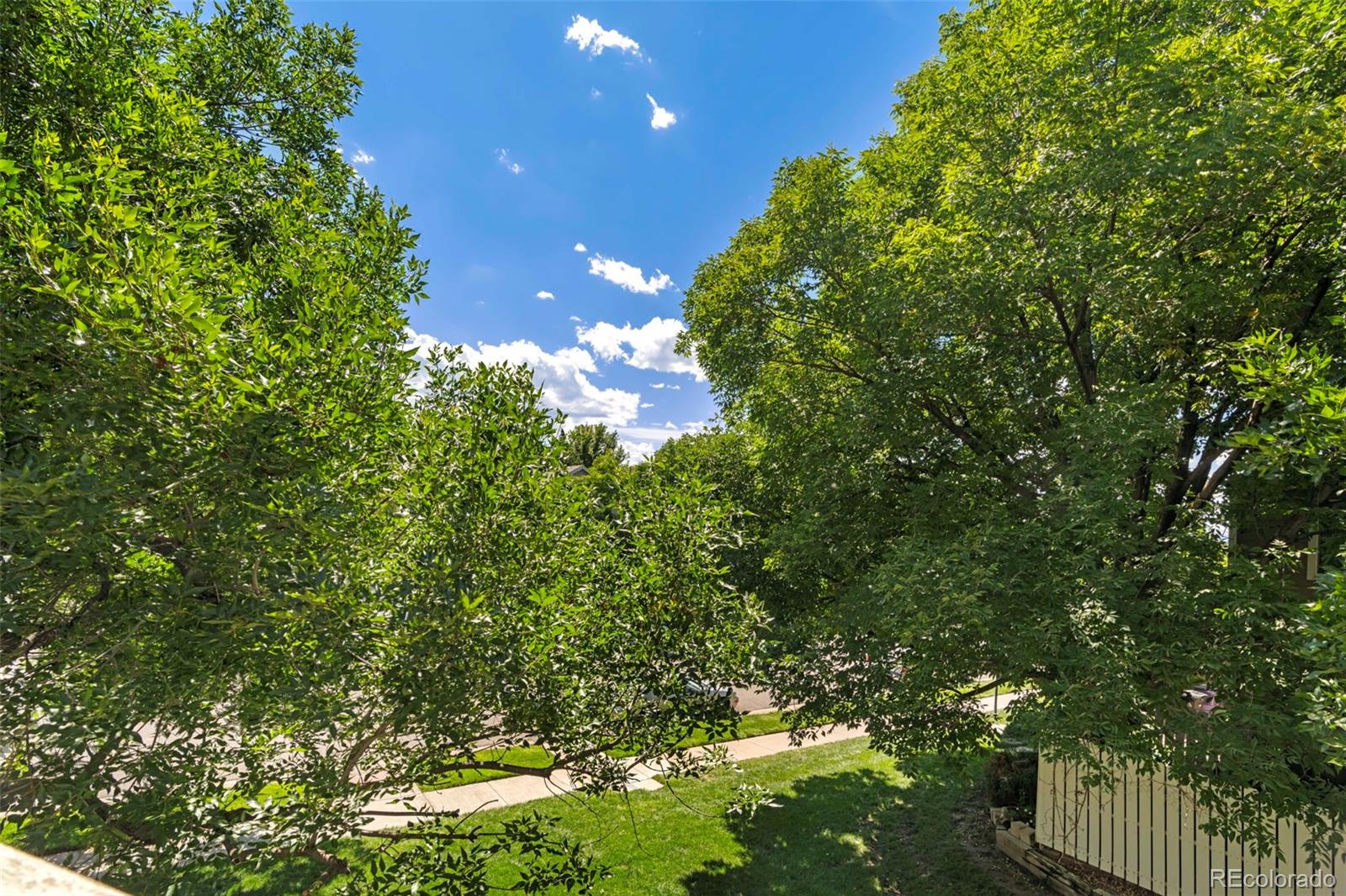 8005 E Colorado Avenue Unit: 4