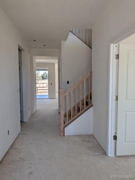 3455 Ballinger Circle