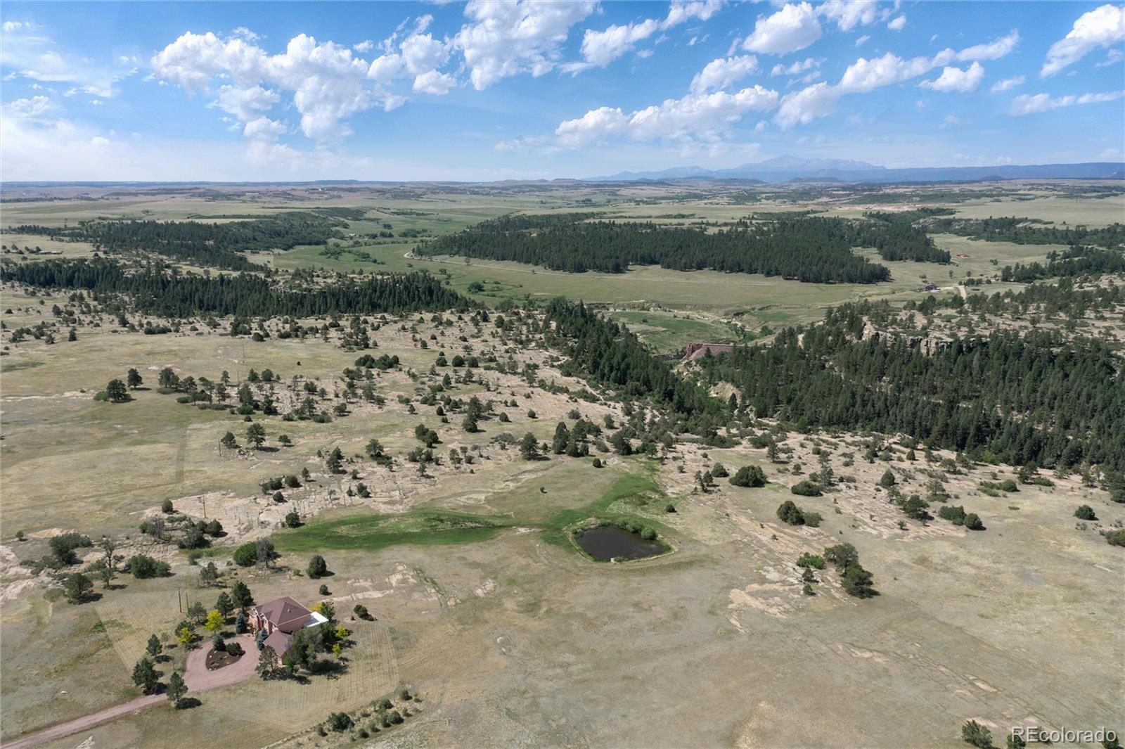 897 E Rim Road
