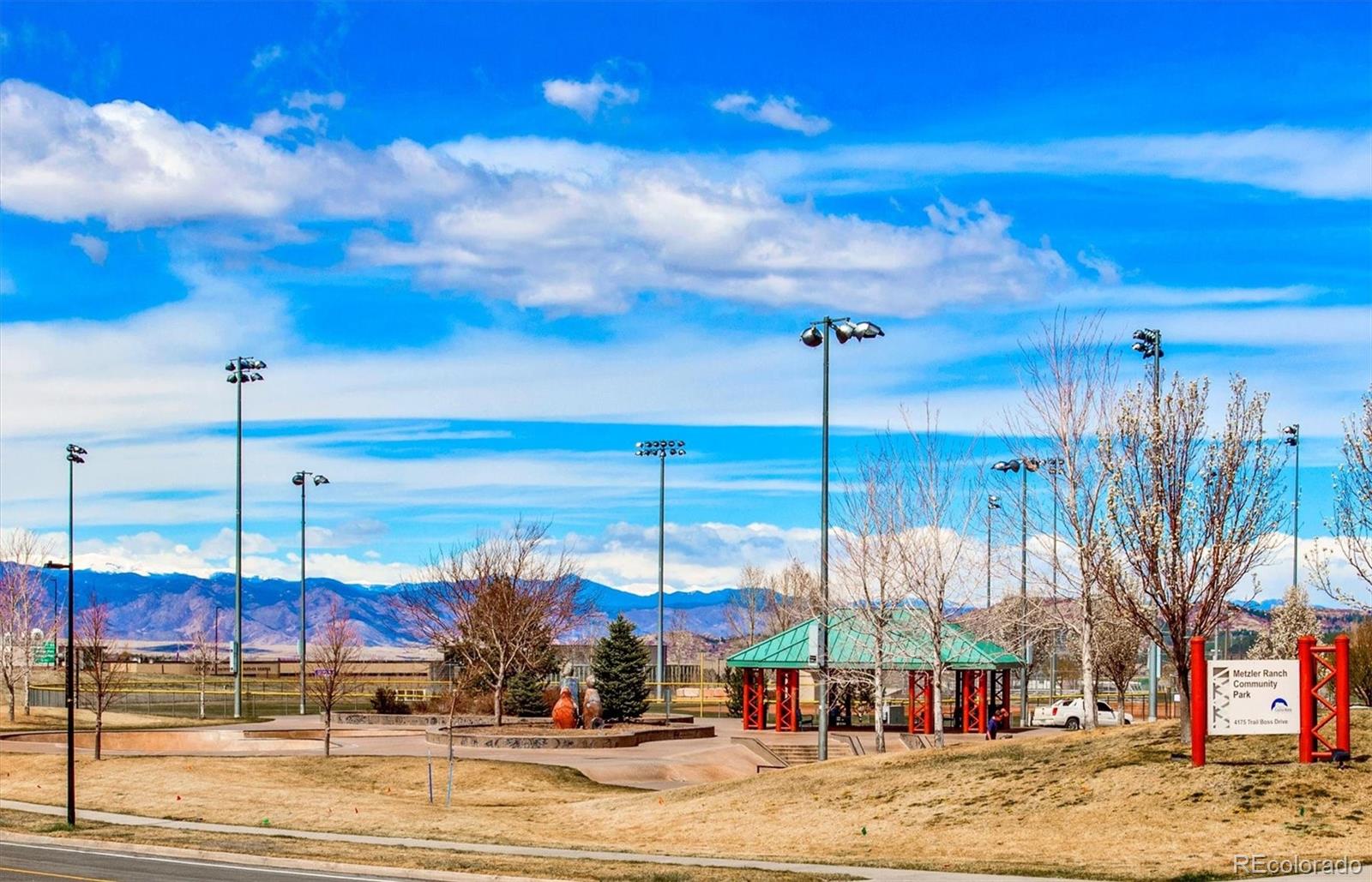 494 Black Feather Loop Unit: 113