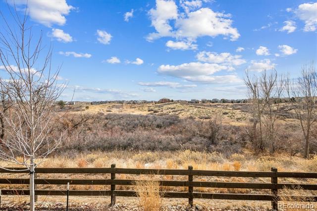11585 Tyrolite Lane
