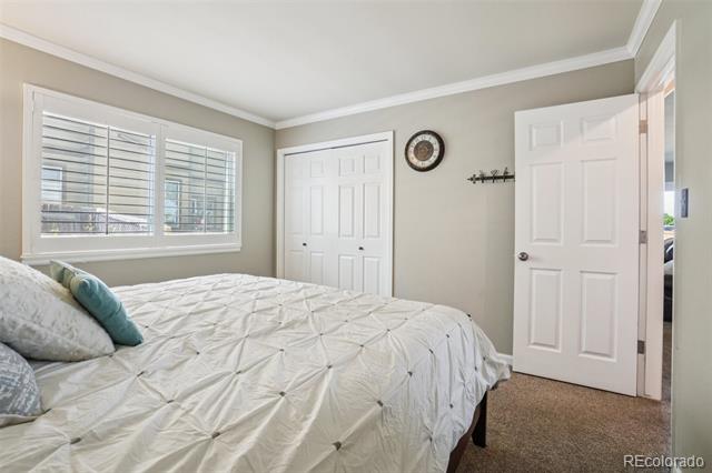 7311 Rattlesnake Drive
