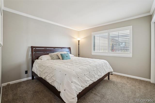 7311 Rattlesnake Drive