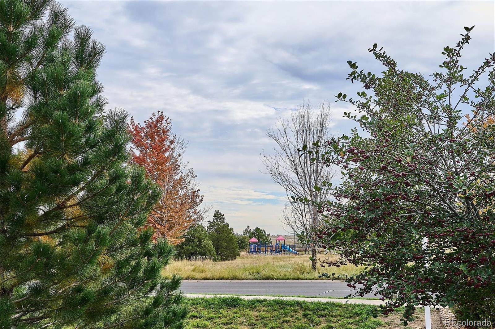 2029 S Flanders Way Unit: C