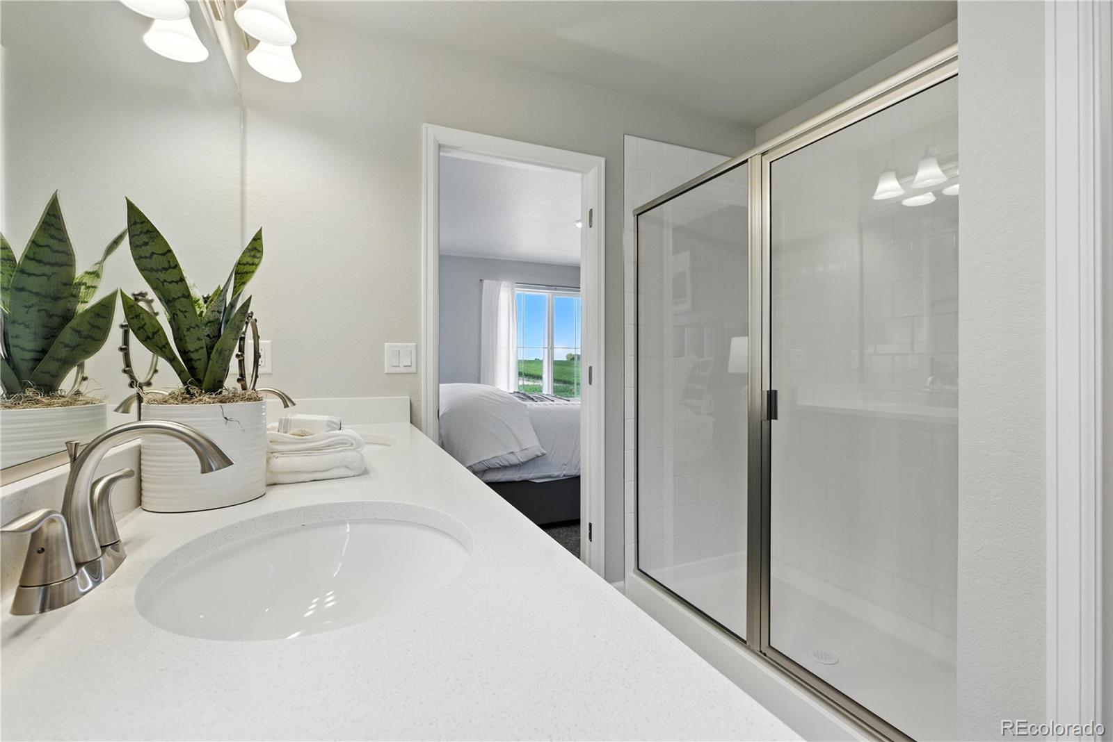 2379 Harlequin Place